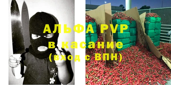 СК Алзамай