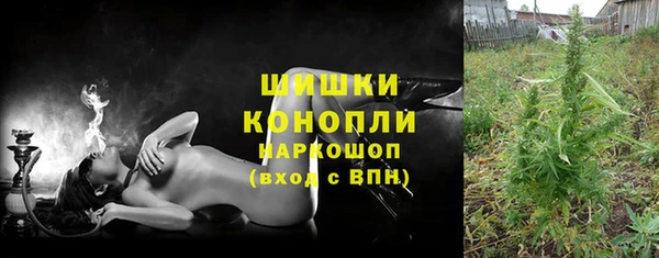 СК Алзамай